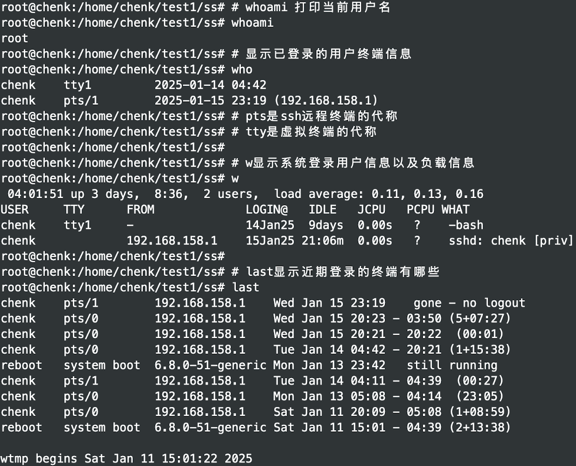 image-20250124120244574